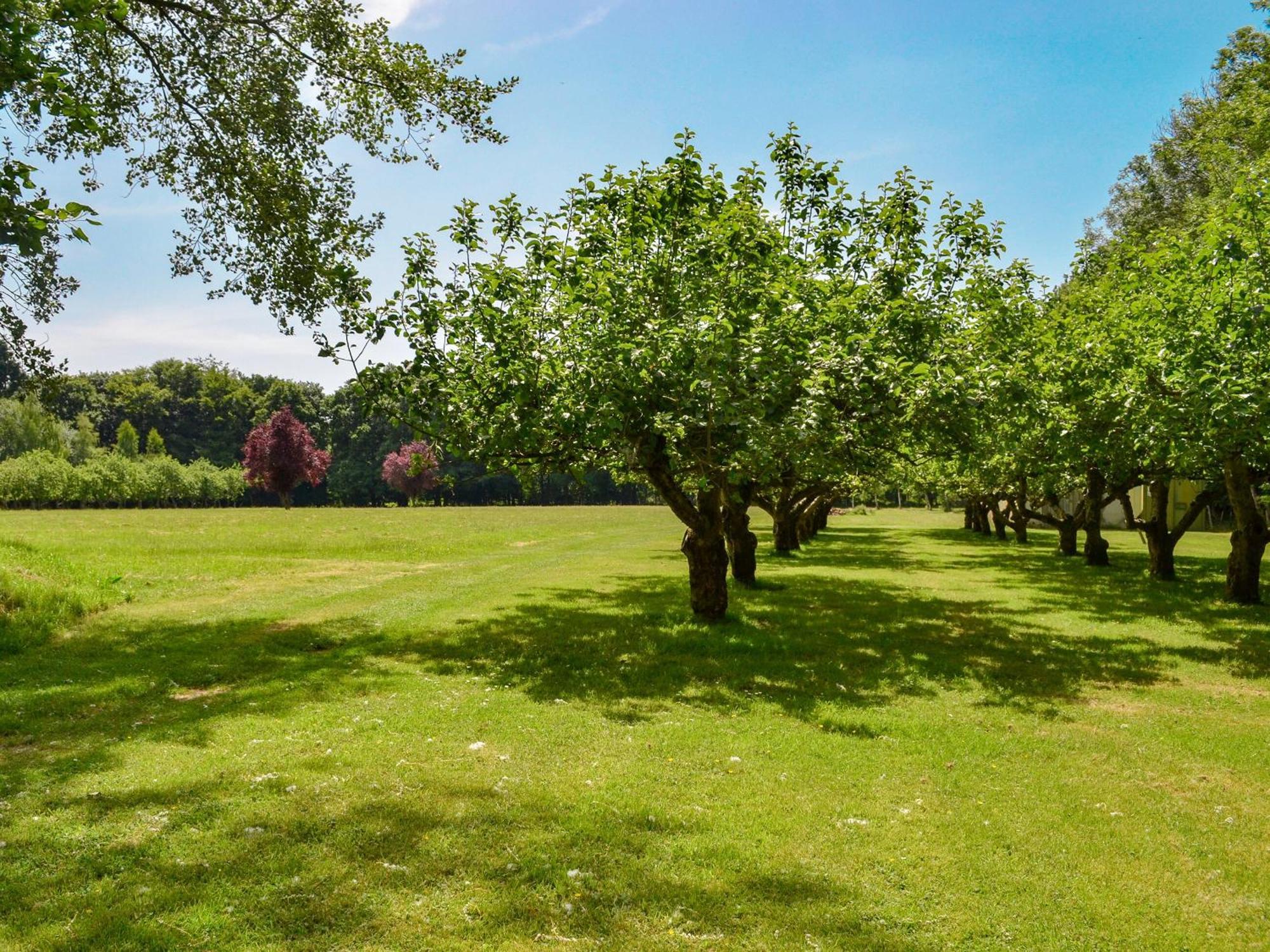 Deer Cottage 2 Uk39332 Biddenden المظهر الخارجي الصورة